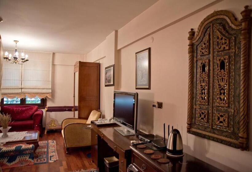 デラックススイート, Villa Sphendone Suites Istanbul