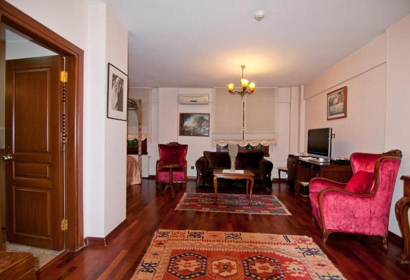 キングサイドベッドのスタンダードワンルーム, Villa Sphendone Suites Istanbul