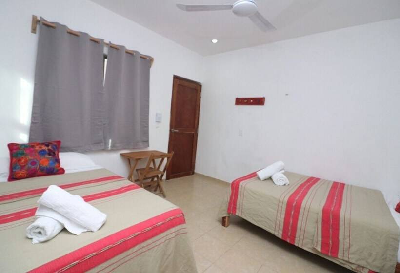 اتاق استاندارد, Posada Yalekin Holbox