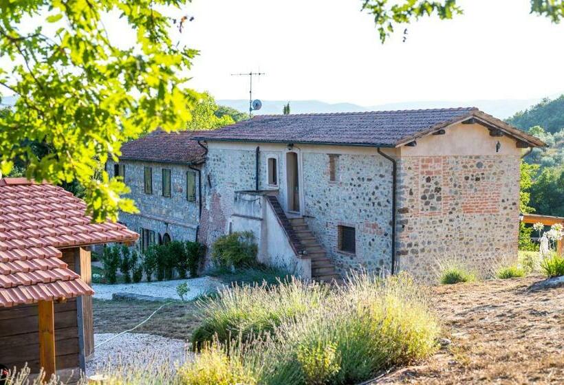 스탠다드 룸 풀장 전망, Tenuta Gambit Agriturismo Umbria