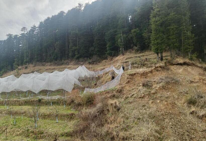 패밀리 룸, The Jungle Mountain Retreat