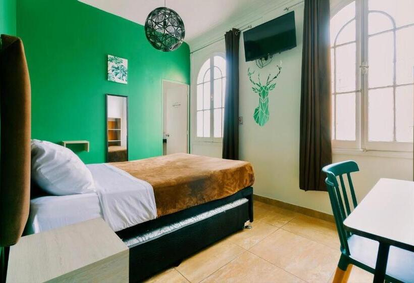스탠다드 룸, The Secret Garden Hostel