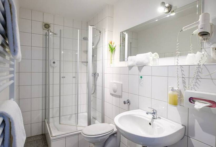 标准单人间, Art Hotel Körschen