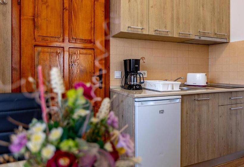 آپارتمان 1 خوابه, Casa Steluta
