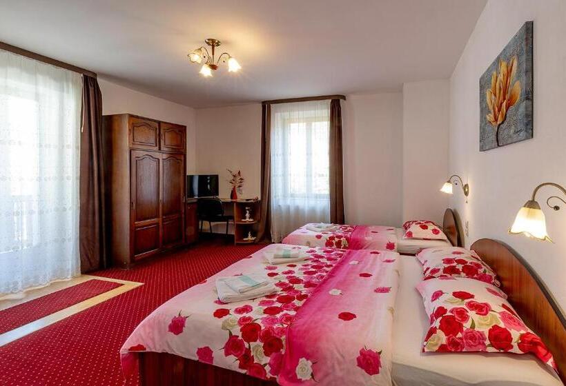آپارتمان سوپریور 1 خوابه, Casa Steluta