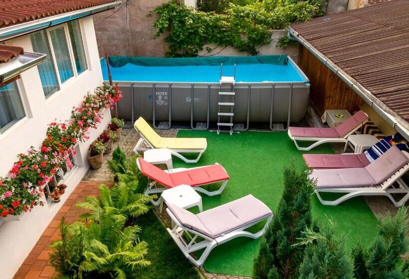 آپارتمان سوپریور 1 خوابه, Casa Steluta