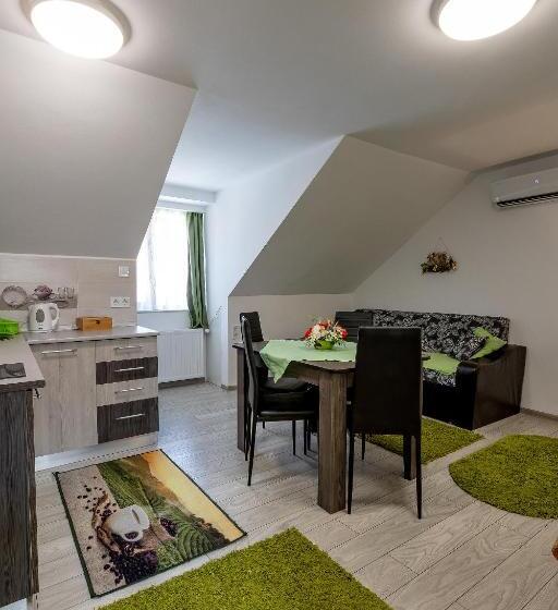 استودیوی استاندارد, Casa Steluta