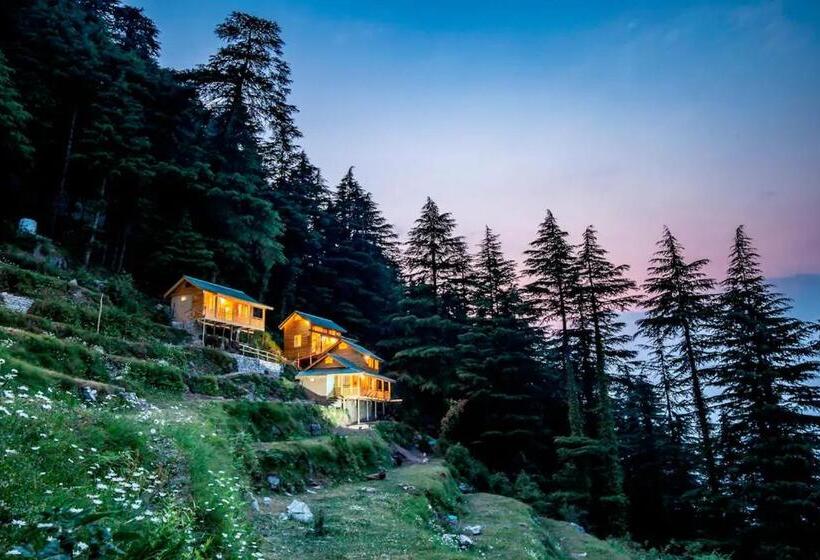 샬레, Mid Conifer Cottage
