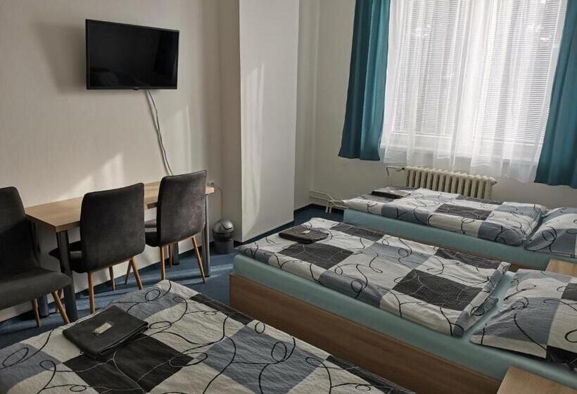 标准三人间, Sporthotel Milevsko