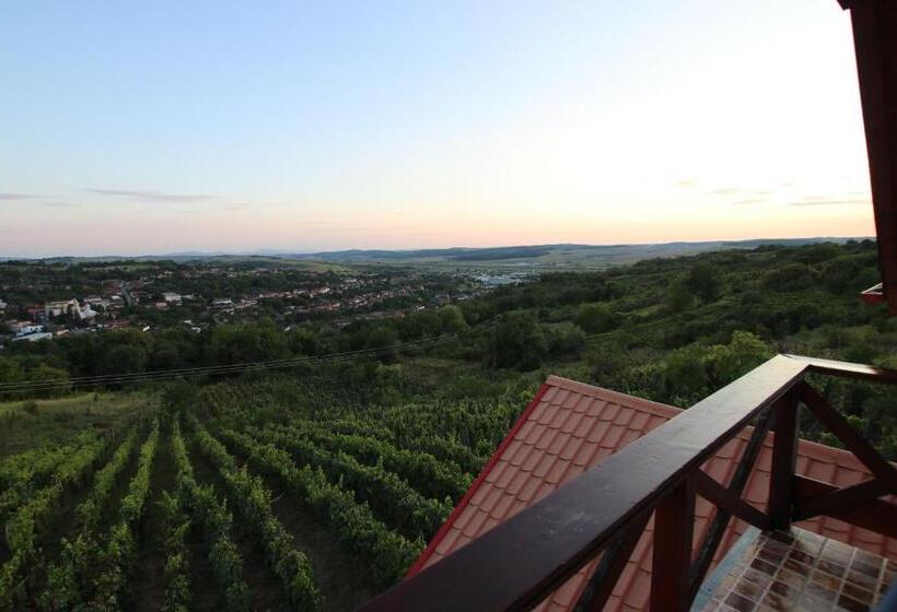 Номер Стандарт Вид на Город, Panorama Cehu Silvaniei