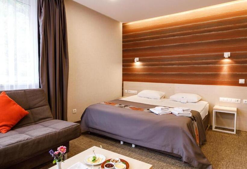 Номер Deluxe, Voevodyno Resort