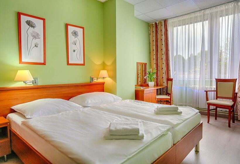 高级大房间, Ensana Spa Smrdáky