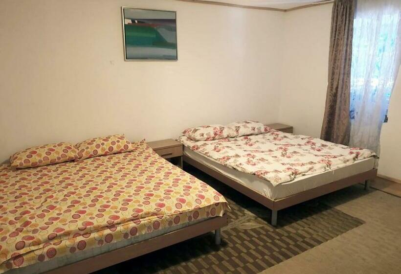 스탠다드 룸, Pensiunea Gernik 100