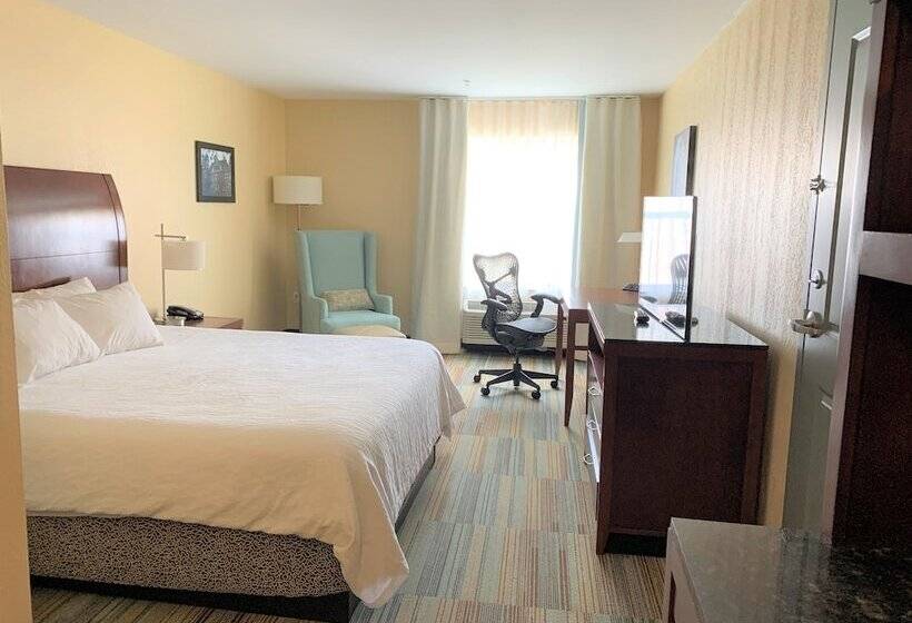 스위트, Hilton Garden Inn Albany Medical Center