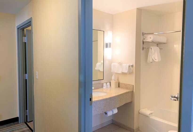 디럭스 스위트, Hilton Garden Inn Albany Medical Center