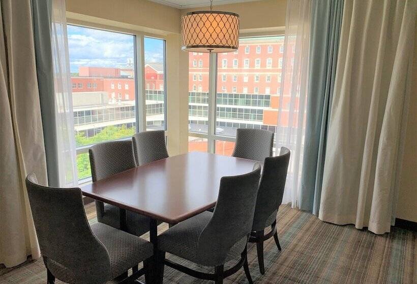 디럭스 스위트, Hilton Garden Inn Albany Medical Center