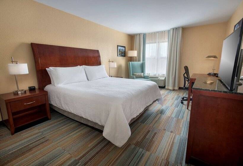 디럭스 스위트, Hilton Garden Inn Albany Medical Center