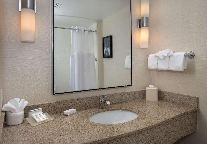 스탠다드 룸 킹사이즈 침대, Hilton Garden Inn Albany Medical Center