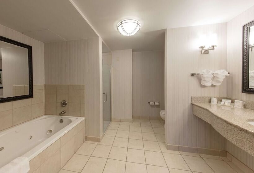 Camera Standard Pat King Adaptată pentru Discapacitaţi, Hilton Garden Inn Columbia/harbison