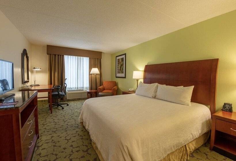 Camera Standard Pat King Adaptată pentru Discapacitaţi, Hilton Garden Inn Columbia/harbison