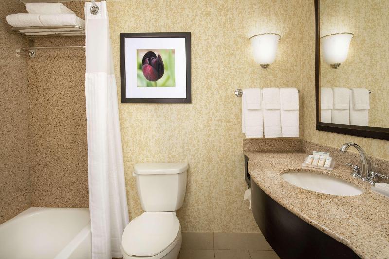 스탠다드 룸 킹사이즈 침대, Hilton Garden Inn Frederick