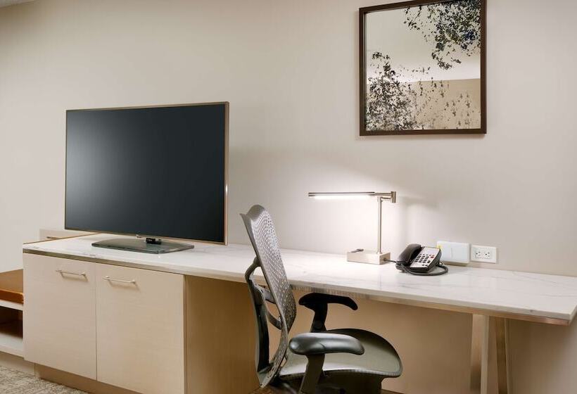 Номер Стандарт, Hilton Garden Inn Idaho Falls