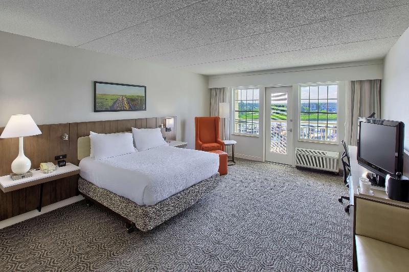 스탠다드 룸 킹사이즈 침대, Hilton Garden Inn Kent Island Marina