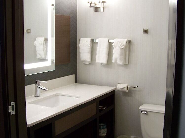 Habitació Estàndard, Hilton Garden Inn Des Moines West