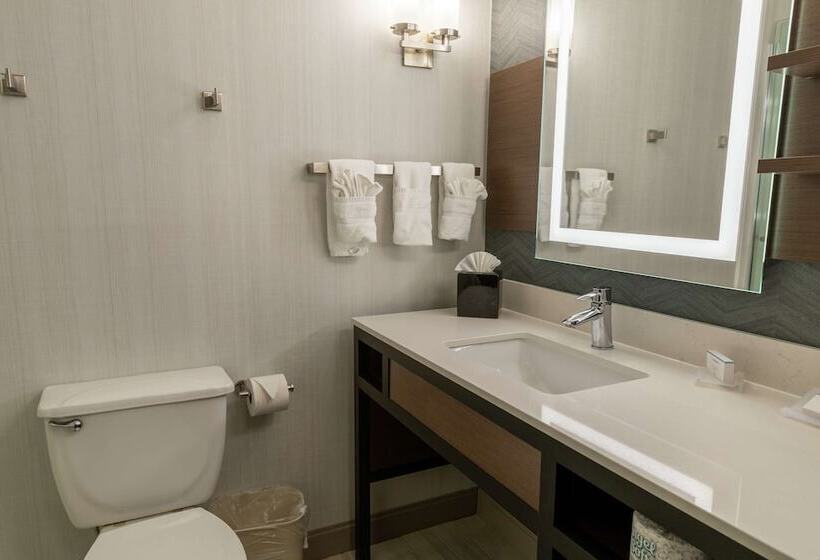 Номер Стандарт, Hilton Garden Inn Des Moines West