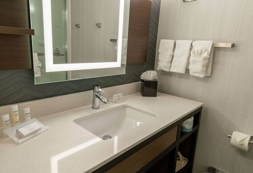 Люкс, Hilton Garden Inn Des Moines West