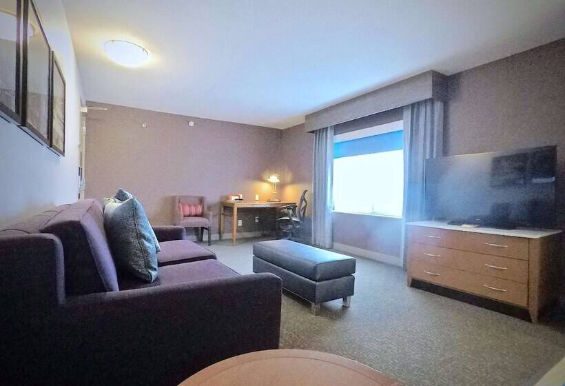Suit Deluxe, Hilton Garden Inn Des Moines West