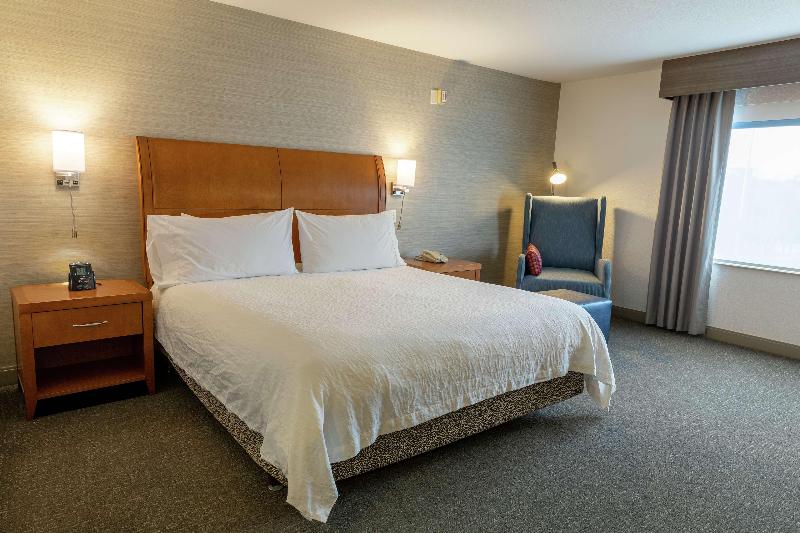 Habitació Estàndard Llit King, Hilton Garden Inn Des Moines West