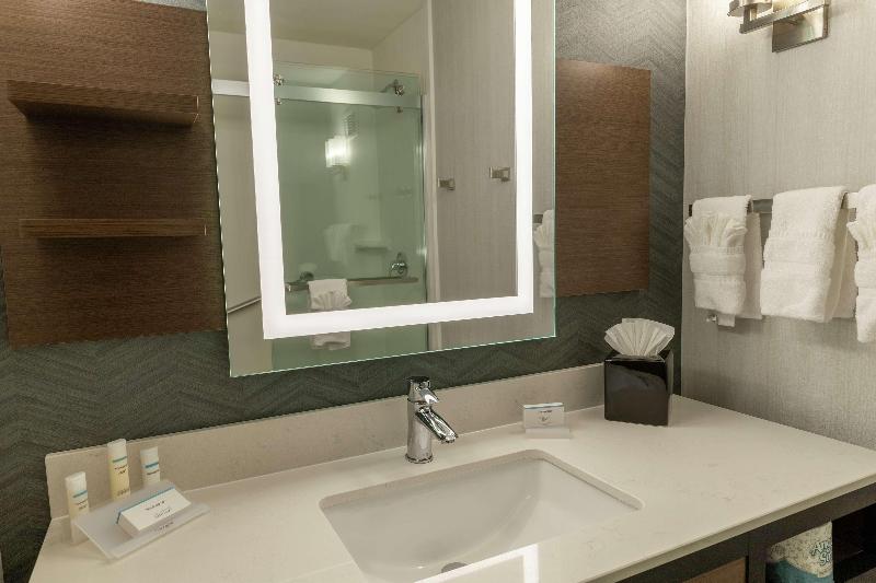 Стандартный Номер Кровать Кинг, Hilton Garden Inn Des Moines West