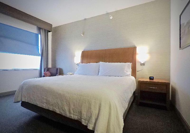 Люкс Кровать Кинг, Hilton Garden Inn Des Moines West