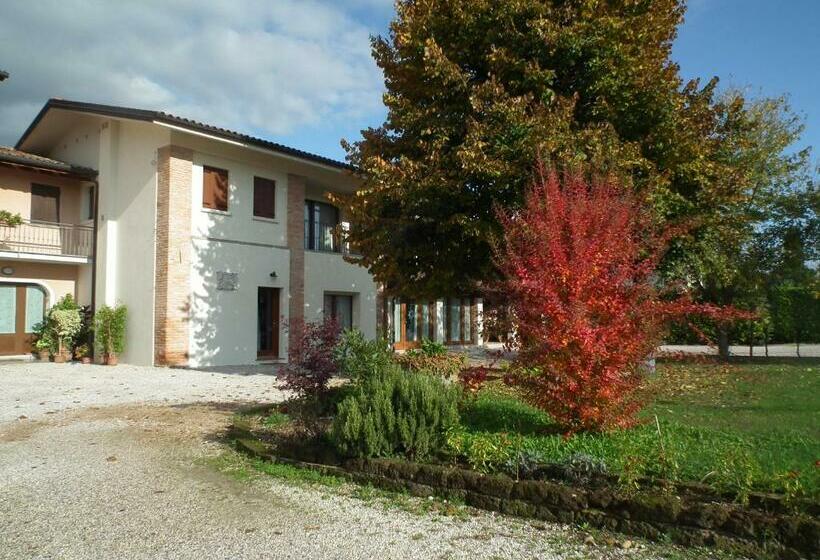 스탠다드 싱글 룸, Agriturismo Vidalli Colvidor