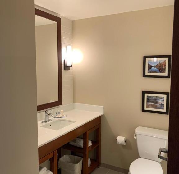 Номер Стандарт, Comfort Inn & Suites