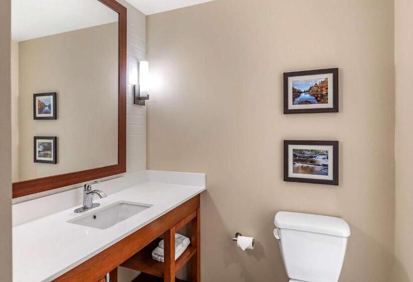 Номер Стандарт, Comfort Inn & Suites