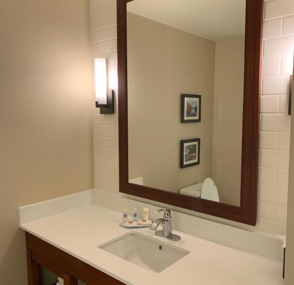 Люкс Адаптированный для Инвалидов, Comfort Inn & Suites