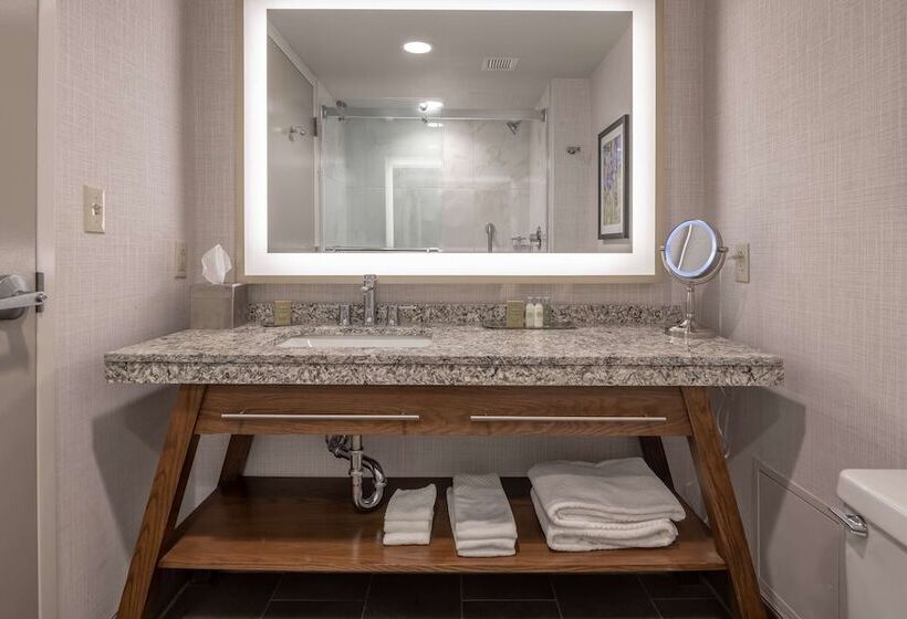 스탠다드 룸 더블 침대, Doubletree By Hilton Dallas   Farmers Branch