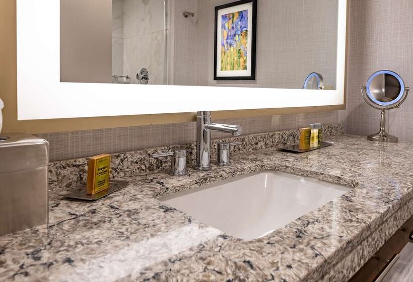 장애인을 위한 스탠다드 룸, Doubletree By Hilton Dallas   Farmers Branch