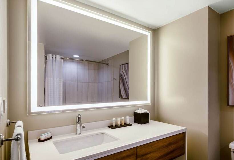 Люкс, Embassy Suites By Hilton Albuquerque