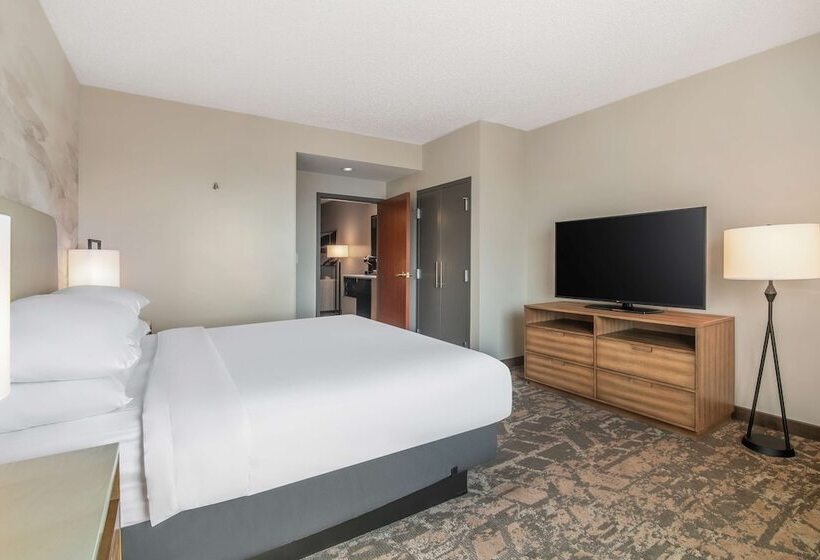 Люкс Премиум, Embassy Suites By Hilton Albuquerque