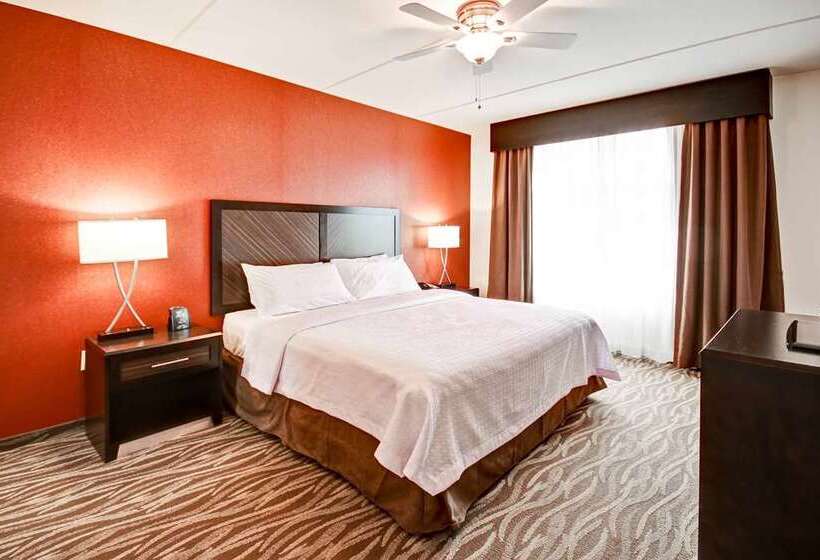 سوئیت با تخت بزرگ, Embassy Suites By Hilton Washington D.c. – Convention Center