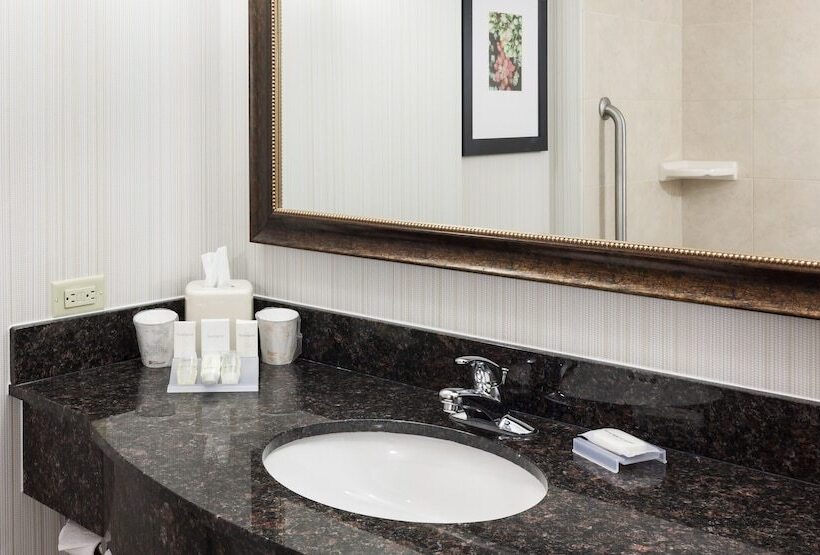 Люкс, Hilton Garden Inn Denver/highlands Ranch