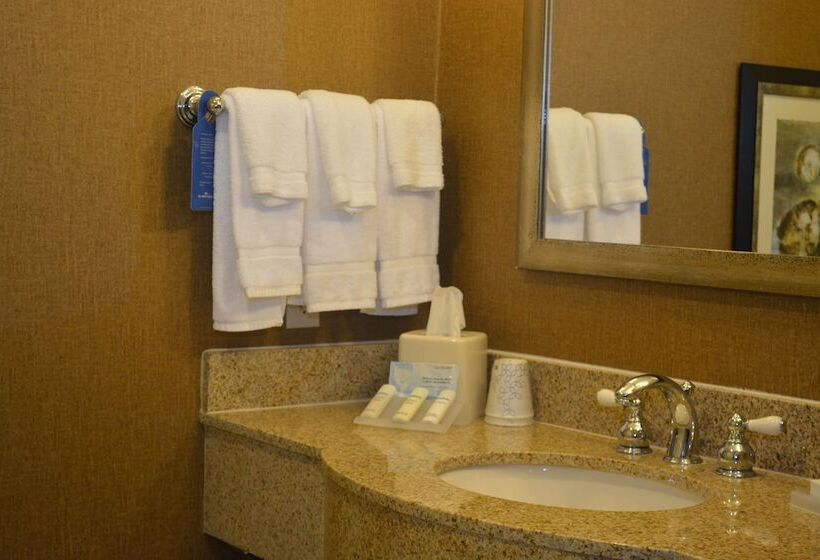 스탠다드 룸, Hilton Garden Inn Houstonpearland