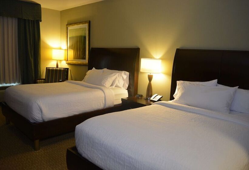 스탠다드 룸, Hilton Garden Inn Houstonpearland