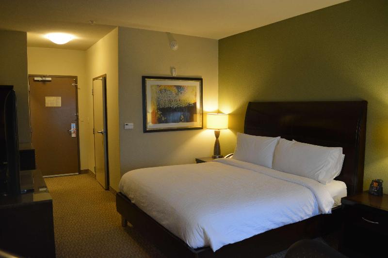 스탠다드 룸 킹사이즈 침대, Hilton Garden Inn Houstonpearland