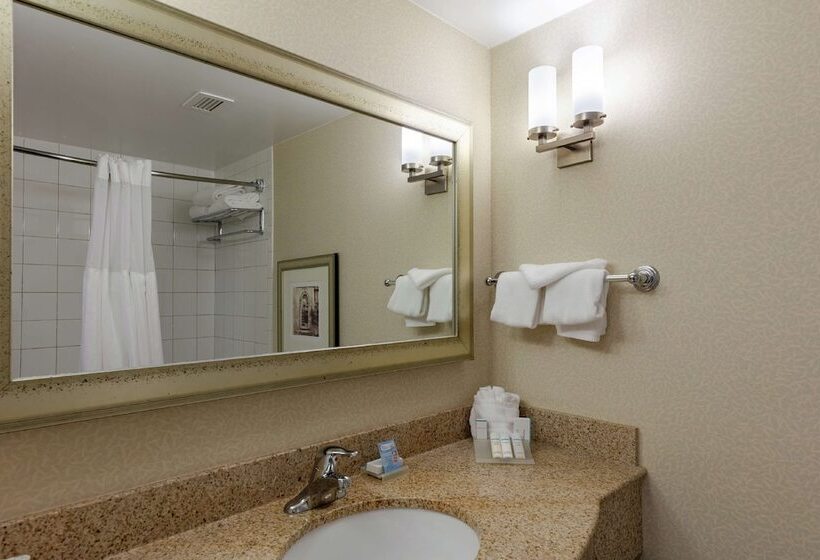 장애인을 위한 스탠다드 룸, Hilton Garden Inn Mobile West I 65/airport Blvd