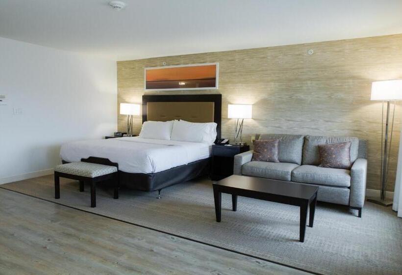 Номер Стандарт Кровать Кинг Адаптированный для Инвалидов, Holiday Inn Hotel & Suites Bloomington Airport, An Ihg