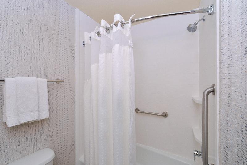 Büyük Çift Kişilik Yataklı Standart Oda, Holiday Inn Express Hotel & Suites Abilene Mall South, An Ihg